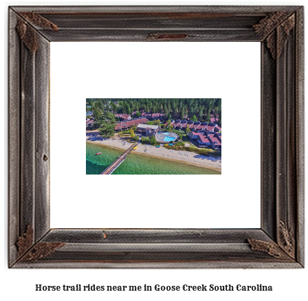 horse trail rides near me in Goose Creek, South Carolina